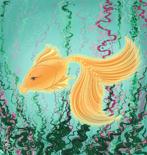 The magic Goldfish #14478427