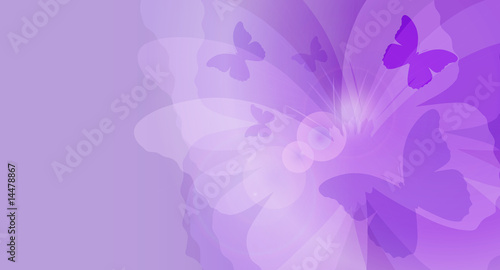 butterfly card