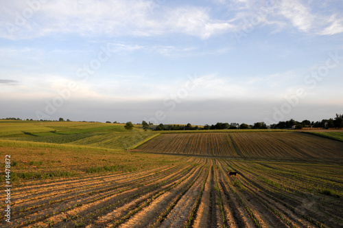 village landscape