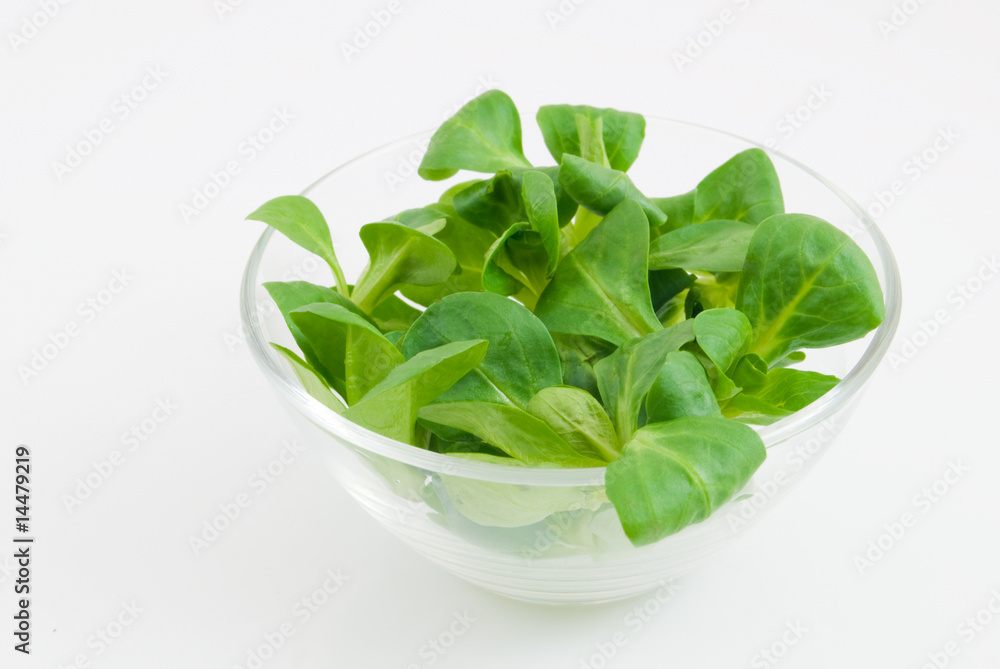 fresh salad fresh salad