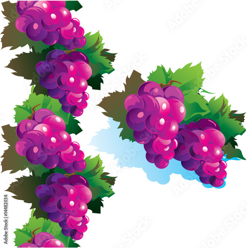 Juicy purple grapes