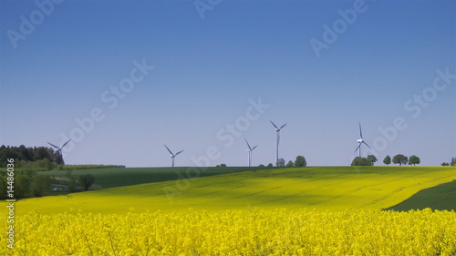 Windpower hinter Raps