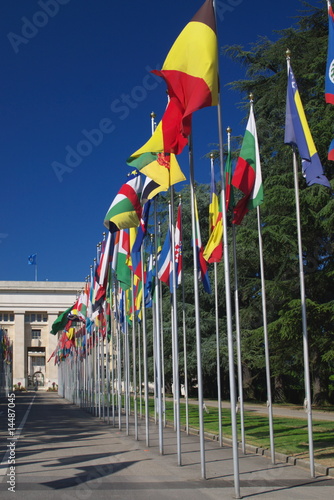 international flags in row