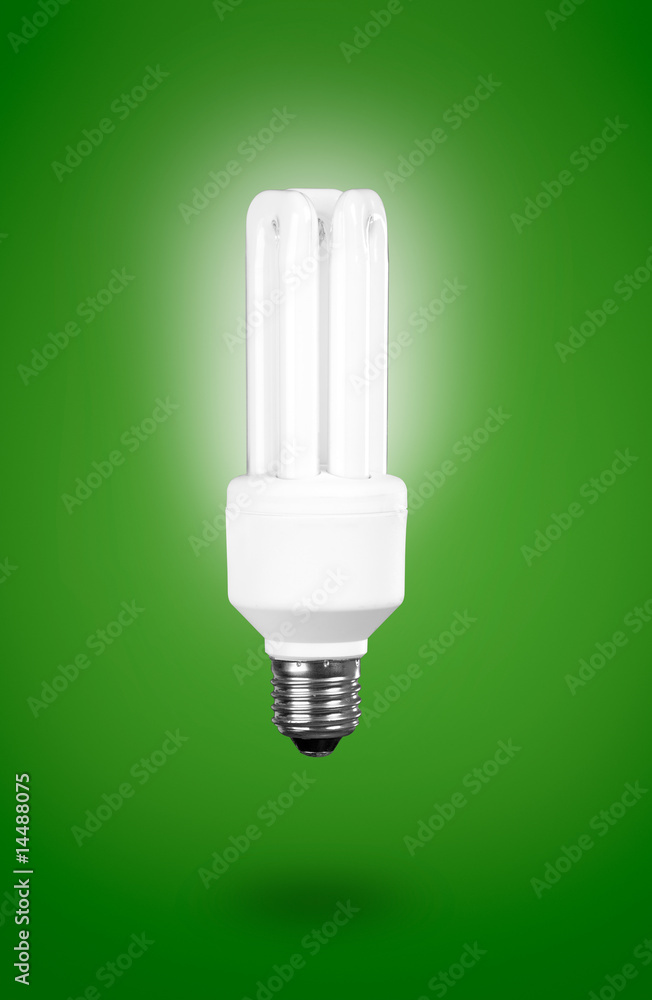 Fluorescent Light Bulb Fluorescent Light Bulb