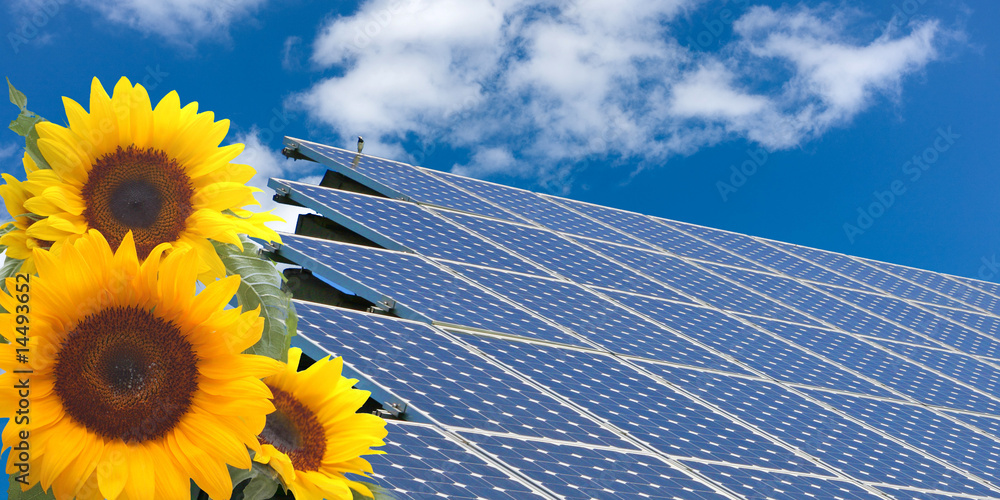 Sonnenenergie / Solar und Sonnenblume Stock-Foto