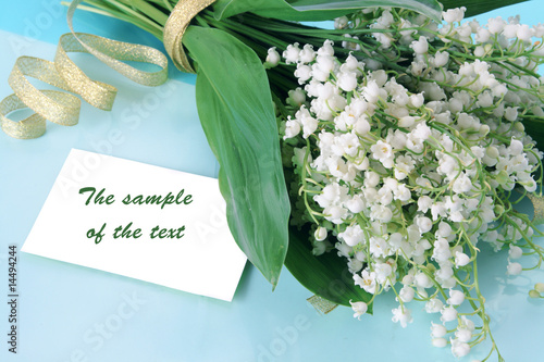 Wallpaper Mural Lilies of the valley Torontodigital.ca