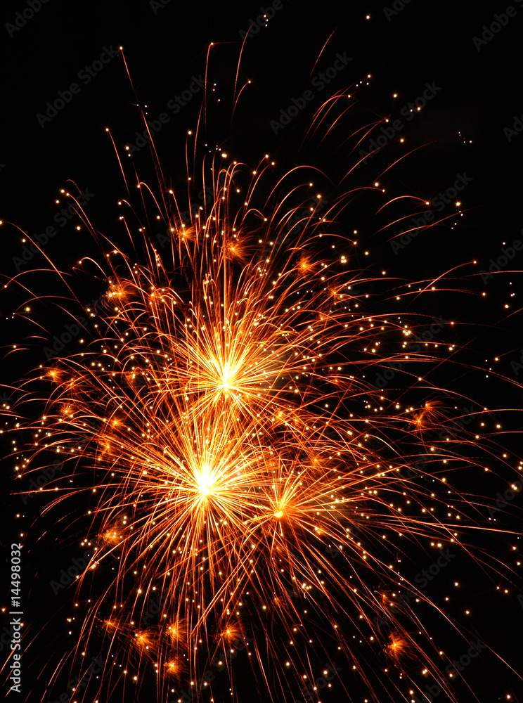 Fototapeta premium Fireworks