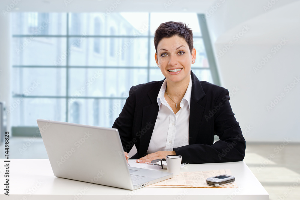 Businesswoman working in office Businesswoman working in office