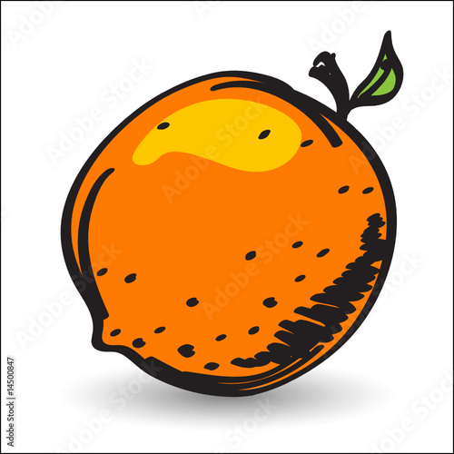 Orange editable vector