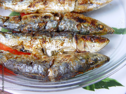 Sardinhas-Sardine-Pilchard-Fish-Sardina-Peixe-Sardinha