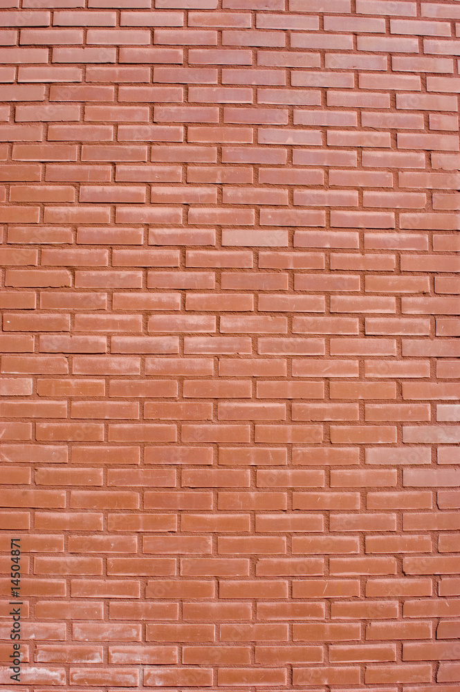 Fototapeta premium Red brick wall