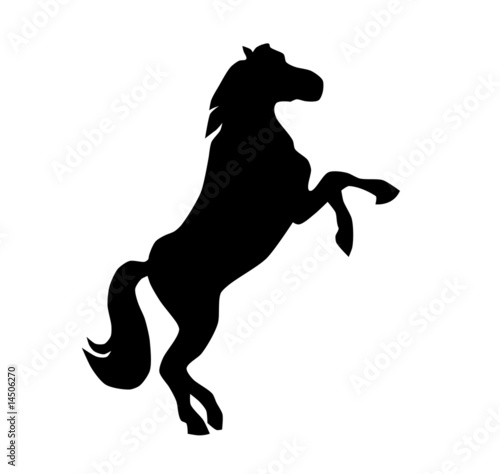 Silhouette of the black horse on the white background