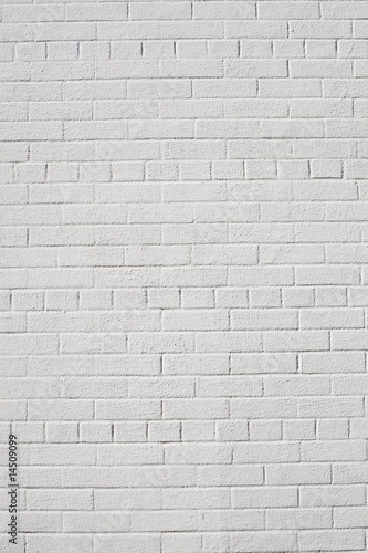 Perfect Vertical White Brick Wall