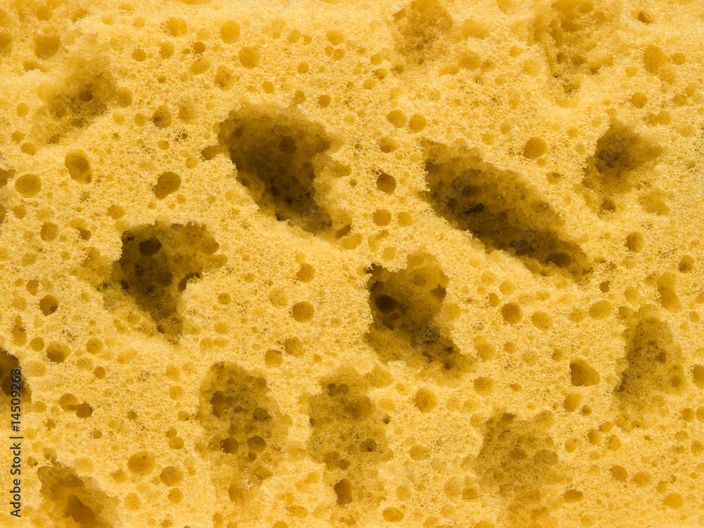 Objects - Sponge Background