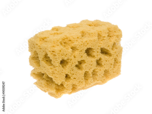 Objects - Sponge