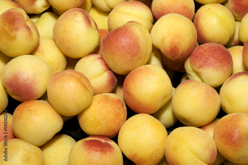 albaricoques albaricoques