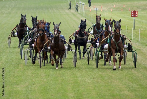 Course hippique #4