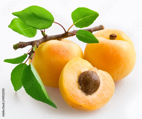 Apricots with leaves on a white background. photo