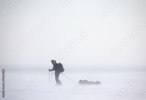 Arctic Expedition photo