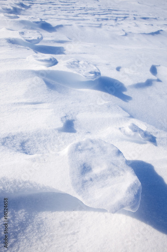 Polar Bear Track © Tyler Olson