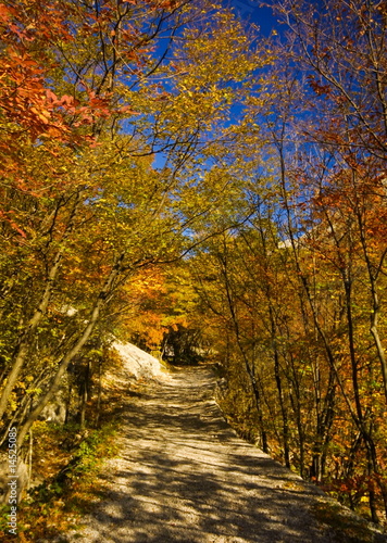 Mountain path in autumn in np paklenica