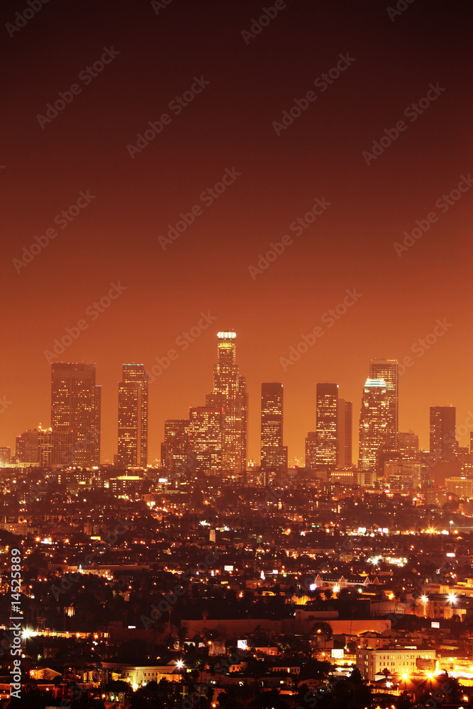 Fototapeta premium Downtown Los Angeles skyline