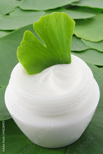 Gingko biloba day cream