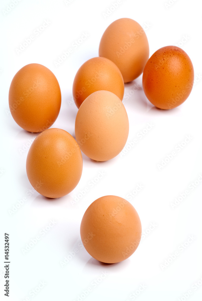 egg's collection 03 egg's collection 03