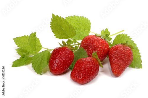 Erdbeeren und Zitronenmelisse