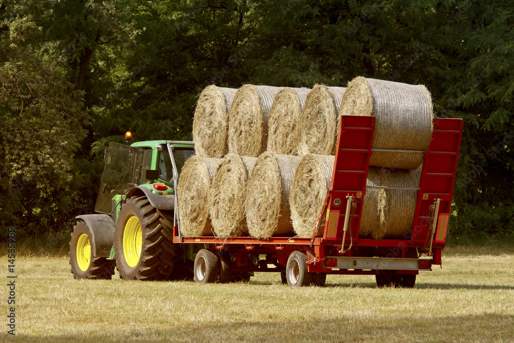 Obraz premium work in the field