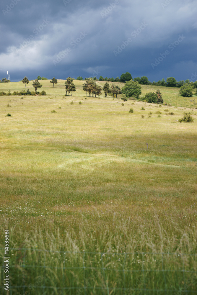 colline arborée colline arborée