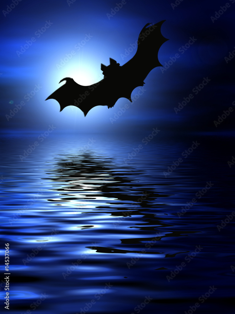 Fototapeta premium Bats flying over the water