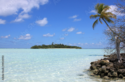 Fototapeta Naklejka Na Ścianę i Meble -  île et îlot des maldives