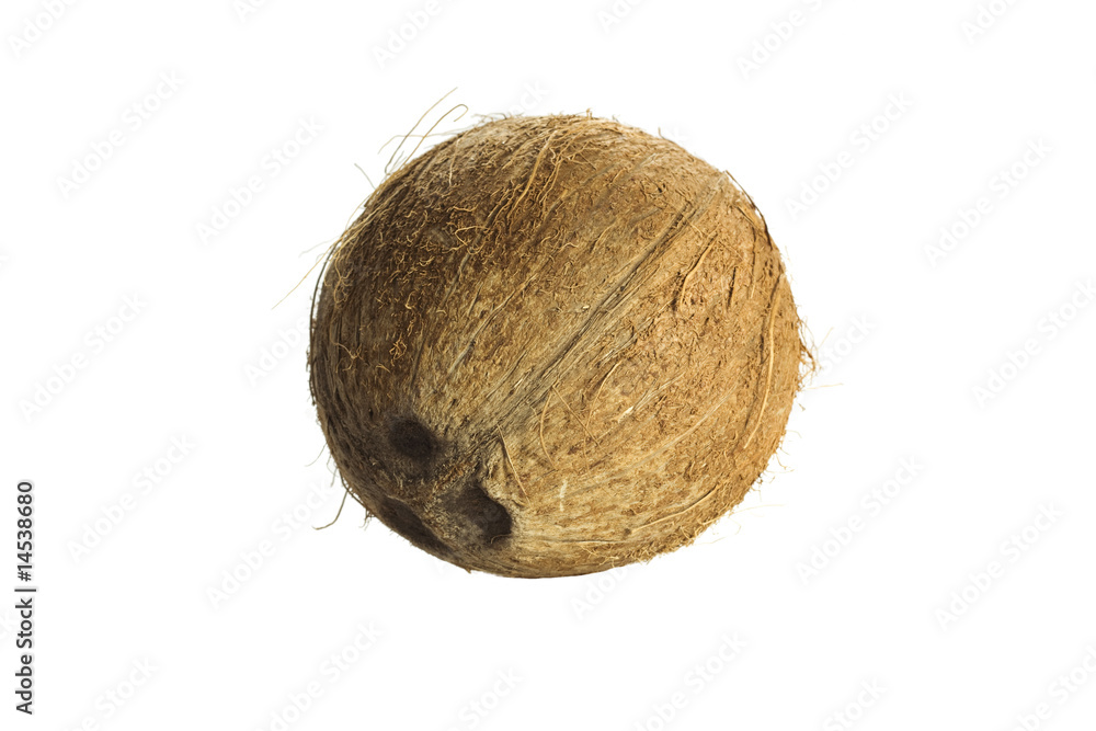 Coconut Coconut