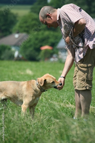 Hundeschule 5 © Conny Hagen