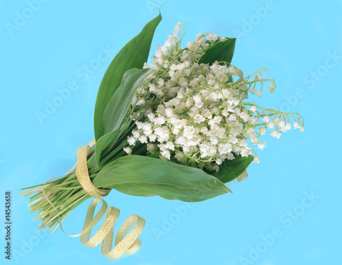 Wallpaper Mural Lilies of the valley Torontodigital.ca