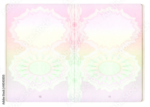 Blank Passport pages