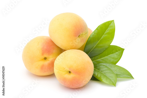 apricots on white