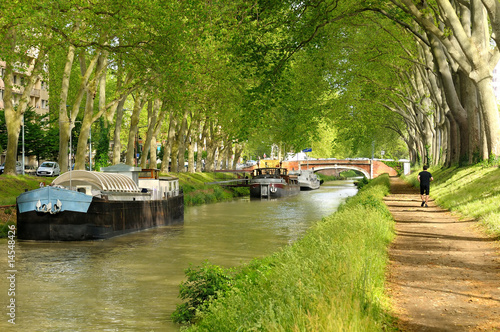 Papier peint Le canal du Midi (Toulouse).