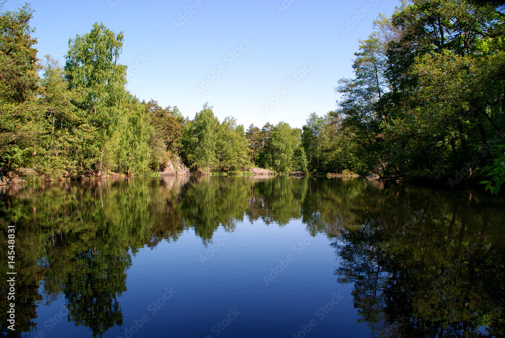 Reflection on a Lake