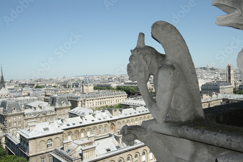 Stryge,cathédrale Notre-Dame,Paris photo