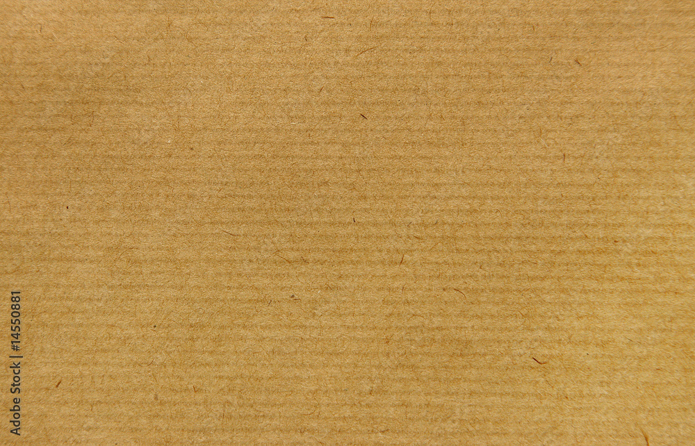 Fototapeta premium Papier