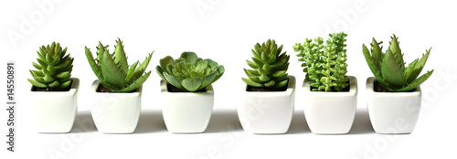 green plants collection