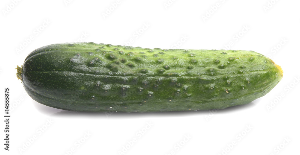 cucumber cucumber