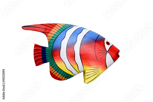 Regenbogenfisch photo