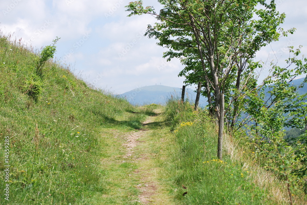 Weg nach oben Weg nach oben