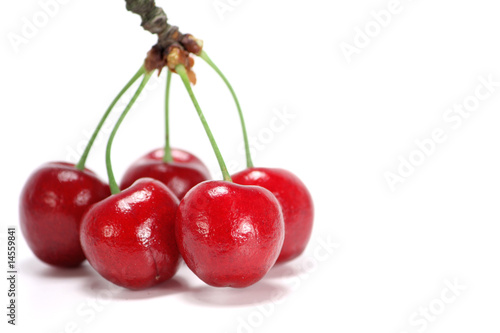 Red cherries © JRP Studio