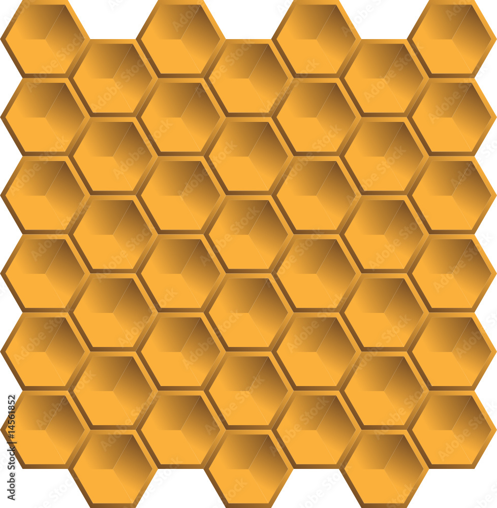 bees bees