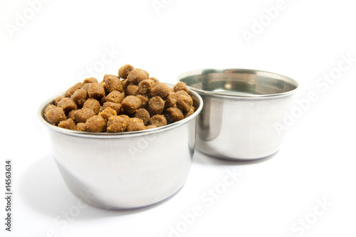 Pets forage over white background