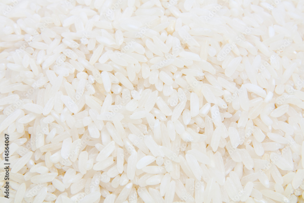 Rice Rice
